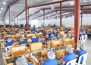 Zonas francas registran el mejor enero de los últimos 12 años alcanzando los USD 522 millones