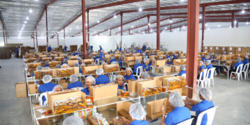 Zonas francas registran el mejor enero de los últimos 12 años alcanzando los USD 522 millones