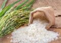 Arroceros aplauden anuncio del presidente Abinader para proteger productores del cereal