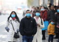Nuevos datos de los orígenes de COVID sugieren que la pandemia está relacionada con los animales