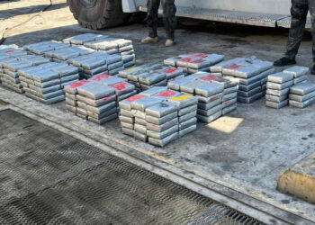 Tecnología no intrusiva detecta 436 paquetes de cocaína con destino a Róterdam