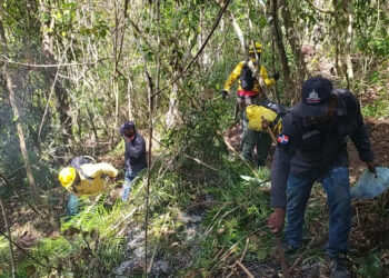 Medio Ambiente informa siete personas han sido detenidas por incendios de Punta Cana