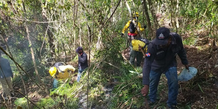 Medio Ambiente informa siete personas han sido detenidas por incendios de Punta Cana