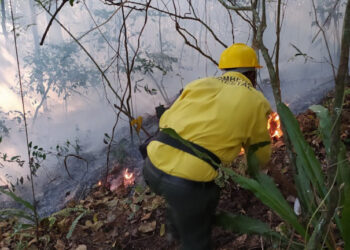 Ministerio de Medio Ambiente reporta disminución de incendios forestales en Valle Nuevo