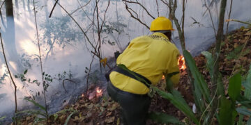 Ministerio de Medio Ambiente reporta disminución de incendios forestales en Valle Nuevo