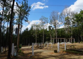 Medio Ambiente ejecuta orden de allanamiento y arrestan invasor de área protegida