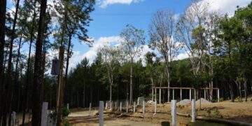 Medio Ambiente ejecuta orden de allanamiento y arrestan invasor de área protegida