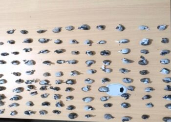 PN desmantela seis punto de drogas en Andrés Boca Chica E4