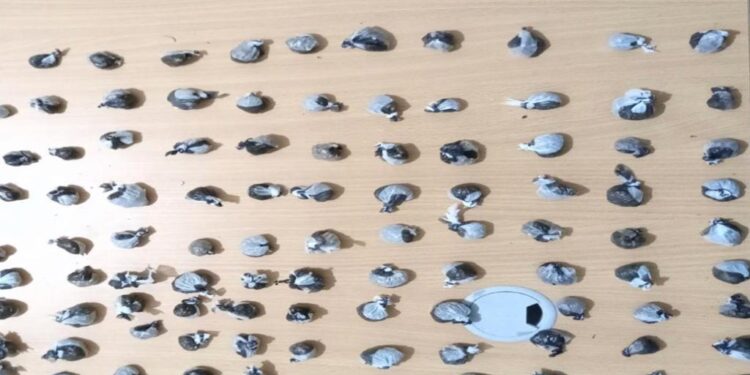 PN desmantela seis punto de drogas en Andrés Boca Chica E4