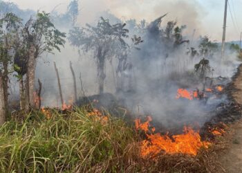Hubieres pide a Medio Ambiente investigar fuegos forestales en Monte Plata  