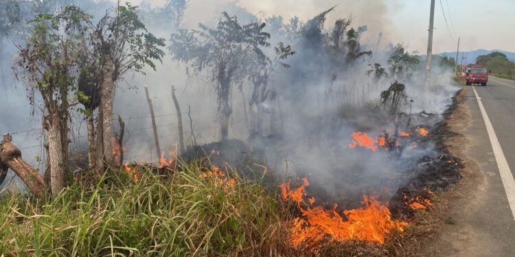Hubieres pide a Medio Ambiente investigar fuegos forestales en Monte Plata