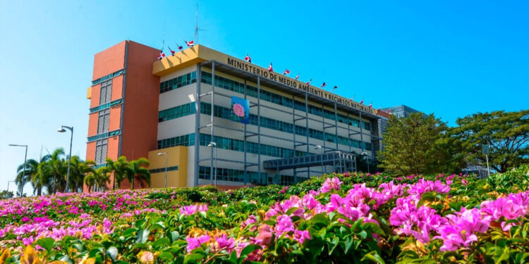 Medio Ambiente informa imponen medida de coerción a acusados de incendios forestales en Bávaro, Punta Cana