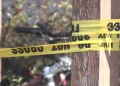 Colapsa techo de edificio cerca a Universidad en Pensilvania: Hay 12 heridos