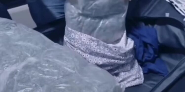 Incautan 34 paquetes de marihuana camuflado en fundas de almohadas