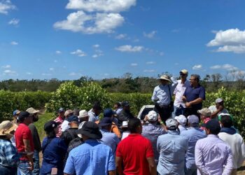 Diputados de La Vega, exigen al Gobierno prestar mayor atención a Valle Nuevo para sofocar el fuego 