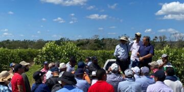 Diputados de La Vega, exigen al Gobierno prestar mayor atención a Valle Nuevo para sofocar el fuego 