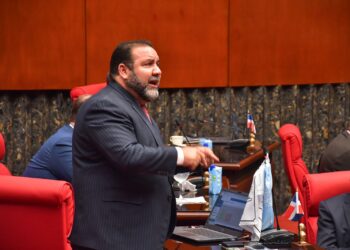 Genao denuncia manos criminales están propiciando incendios forestales y de vertederos