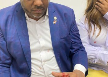 Diputado Luis Henríquez dice democracia y Congreso Nacional han sido agredidos