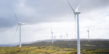 Cartera de préstamos verdes alcanzó los RD$14,242 millones el pasado año