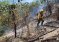 Medio Ambiente persigue a desaprensivos provocan incendios; bomberos se mantienen en atención permanente