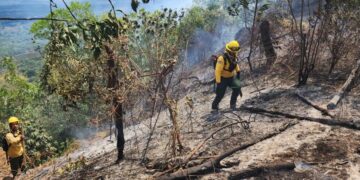Medio Ambiente persigue a desaprensivos provocan incendios; bomberos se mantienen en atención permanente