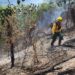 Medio Ambiente persigue a desaprensivos provocan incendios; bomberos se mantienen en atención permanente