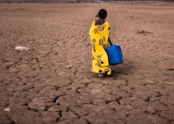 La OMM lanza una seria advertencia sobre el regreso del fenómeno El Niño
