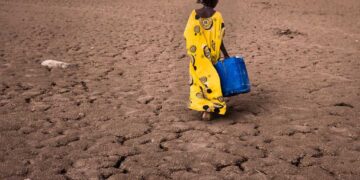 La OMM lanza una seria advertencia sobre el regreso del fenómeno El Niño