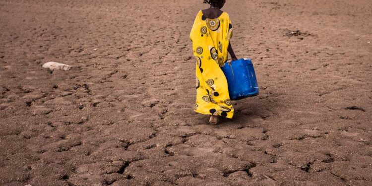 La OMM lanza una seria advertencia sobre el regreso del fenómeno El Niño