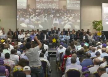 Comité Central del PLD decide elegir candidatos mediante encuestas