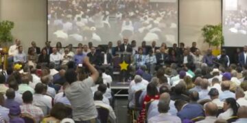 Comité Central del PLD decide elegir candidatos mediante encuestas