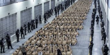 El Salvador: 66.417 presos, 5.802 víctimas de abuso en 1 año