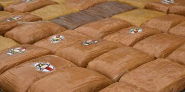 La ONU alerta: "La oferta mundial de cocaína está en niveles récord"