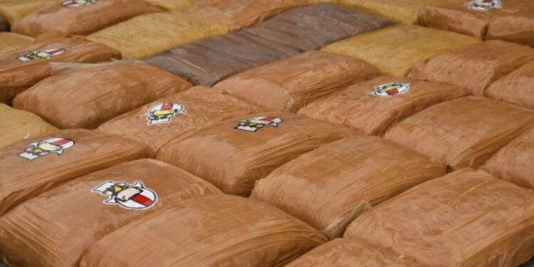 La ONU alerta: "La oferta mundial de cocaína está en niveles récord"