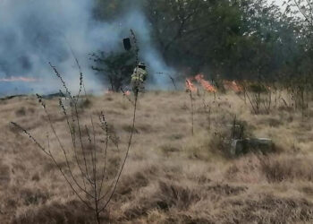 Medio Ambiente: Incendio forestal en Valle Nuevo sigue bajo control