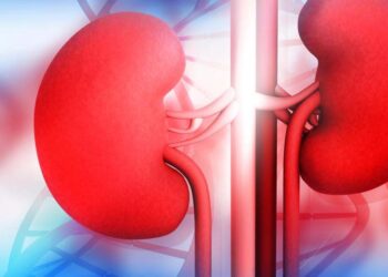 Día Mundial del Riñón 2023: Prepararse para lo inesperado, apoyando los más vulnerables