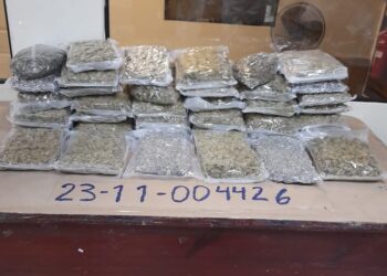 Desarticulan red que traía marihuana desde EE.UU; apresan cinco personas