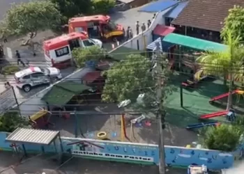 Un hombre mató a cuatro niños con un hacha en una guardería de Brasil