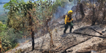 Medio Ambiente identifica responsables de crear algunos incendios en zonas de RD