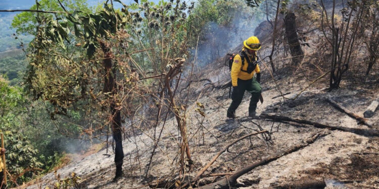Medio Ambiente identifica responsables de crear algunos incendios en zonas de RD