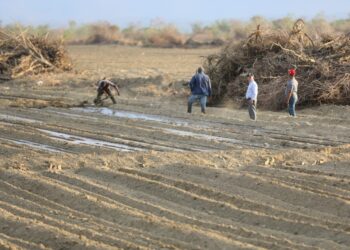 Gobierno lanza renovación Proyecto Cruz de Manzanillo