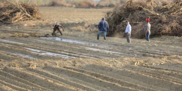 Gobierno lanza renovación Proyecto Cruz de Manzanillo
