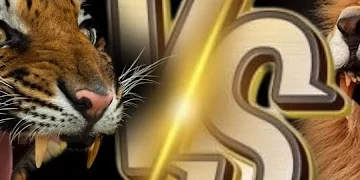 Campeonato de béisbol otoño invernal inicia el 19 de octubre