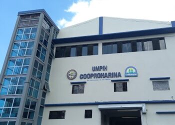 Industria de la harina: 35 años de crecimiento unificado 98% son MiPymes en esta industria, del 98% del país.