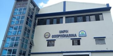 Industria de la harina: 35 años de crecimiento unificado 98% son MiPymes en esta industria, del 98% del país.