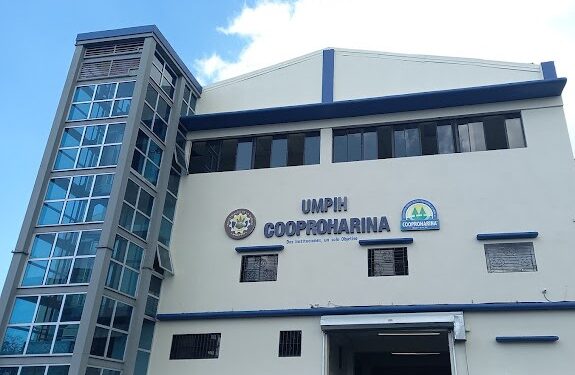 Industria de la harina: 35 años de crecimiento unificado 98% son MiPymes en esta industria, del 98% del país.