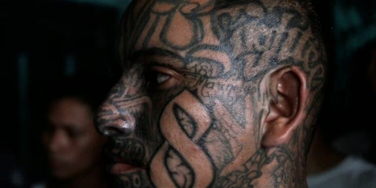 Detienen a líder de la pandilla MS-13 en la Ciudad de México