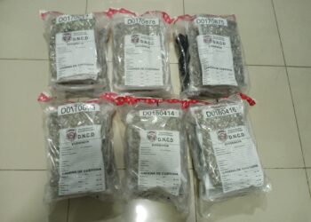 Ocupan 18 paquetes de marihuana en el AILA; disponen personal adicional en aeropuertos