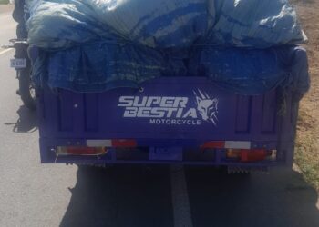 Policía apresa en Villa Vásquez haitiano con 70 racimos de guineos robados