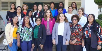 Depositan con carácter de urgencia, acción de inconstitucionalidad contra Ley Electoral